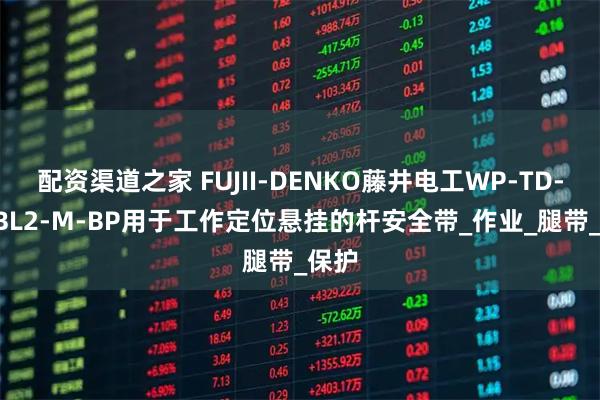 配资渠道之家 FUJII-DENKO藤井电工WP-TD-27-BL2-M-BP用于工作定位悬挂的杆安全带_作业_腿带_保护