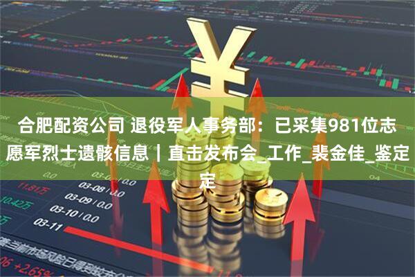 合肥配资公司 退役军人事务部：已采集981位志愿军烈士遗骸信息｜直击发布会_工作_裴金佳_鉴定