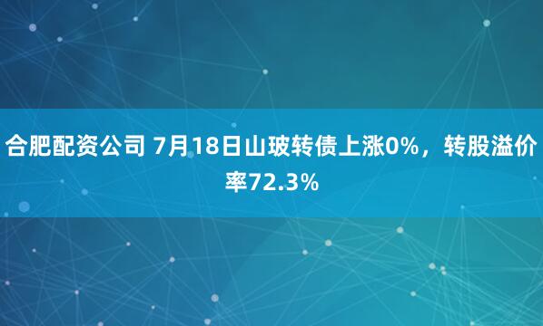 合肥配资公司 7月18日山玻转债上涨0%，转股溢价率72.3%