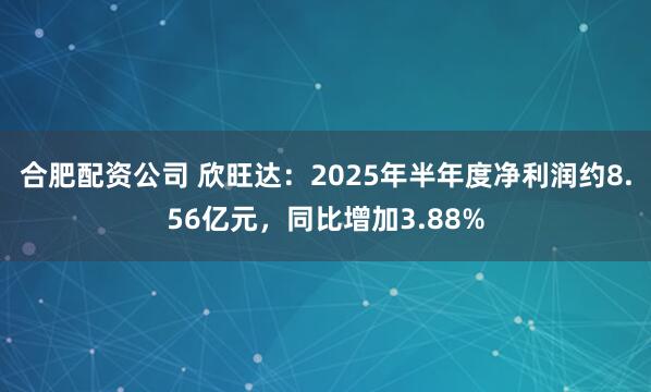 合肥配资公司 欣旺达：2025年半年度净利润约8.56亿元，同比增加3.88%